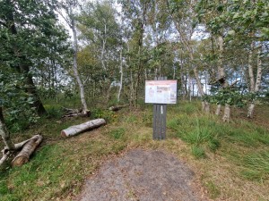 
                            <b>Balloërveld - Informatiebord</b><br>
                                                        <b>ISO:</b> 50 | <b>Sluitertijd:</b> 1/389 | <b>Diafragma:</b> f/2.2 | <b>Datum:</b> 2024-09-30

                        