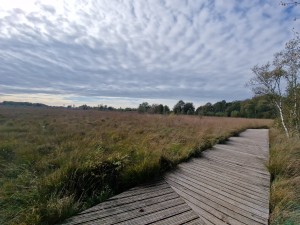 
                            <b>Balloërveld - Vlonderpad met heide en lucht</b><br>
                                                        <b>ISO:</b> 50 | <b>Sluitertijd:</b> 1/3846 | <b>Diafragma:</b> f/2.2 | <b>Datum:</b> 2024-09-30

                        
