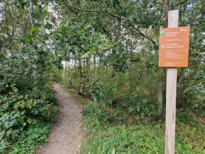 
                            <b>Balloërveld - Ingang natuurgebied</b><br>
                                                        <b>ISO:</b> 50 | <b>Sluitertijd:</b> 1/180 | <b>Diafragma:</b> f/1.8 | <b>Datum:</b> 2024-09-30

                        