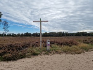 
                            <b>Balloërveld - Locatiewijzer met heide</b><br>
                                                        <b>ISO:</b> 50 | <b>Sluitertijd:</b> 1/10309 | <b>Diafragma:</b> f/1.8 | <b>Datum:</b> 2024-09-30

                        