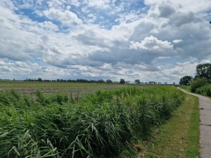 
                            <b>Weiland, wandel- en fietspad onder een blauwe, bewolkte lucht</b><br>
                                                        <b>ISO:</b> 50 | <b>Sluitertijd:</b> 1/18519 | <b>Diafragma:</b> f/1.8 | <b>Datum:</b> 2024-07-07

                        