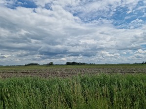 
                            <b>Weiland met een blauwe, bewolkte lucht</b><br>
                                                        <b>ISO:</b> 50 | <b>Sluitertijd:</b> 1/18519 | <b>Diafragma:</b> f/1.8 | <b>Datum:</b> 2024-07-07

                        