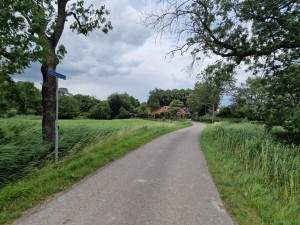 
                            <b>Straat met gras en bewolkte lucht, plaatsnaambord Abbeweersterweg</b><br>
                                                        <b>ISO:</b> 50 | <b>Sluitertijd:</b> 1/10309 | <b>Diafragma:</b> f/1.8 | <b>Datum:</b> 2024-07-07

                        