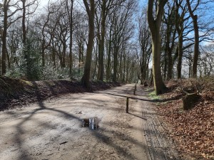 
                            <b>Zandpad langs de Oosterbroekweg</b><br>
                                                        <b>ISO:</b> 50 | <b>Sluitertijd:</b> 1/447 | <b>Diafragma:</b> f/1.8 | <b>Datum:</b> 2024-03-23

                        