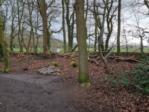 
                            <b>Gedenkstenen van verzetsgroep De Groot tussen de bomen.</b><br>
                                                        <b>ISO:</b> 50 | <b>Sluitertijd:</b> 1/127 | <b>Diafragma:</b> f/1.8 | <b>Datum:</b> 2024-03-23

                        