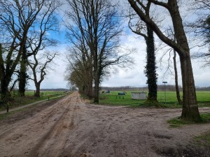 
                            <b>Zandpad langs de Meentweg, rechtsaf de Oosterbroekweg</b><br>
                                                        <b>ISO:</b> 50 | <b>Sluitertijd:</b> 1/556 | <b>Diafragma:</b> f/1.8 | <b>Datum:</b> 2024-03-23

                        