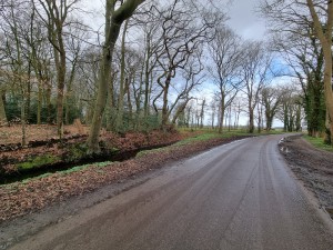 
                            <b>Verharde straat, Meentweg, met bomen</b><br>
                                                        <b>ISO:</b> 50 | <b>Sluitertijd:</b> 1/419 | <b>Diafragma:</b> f/2.2 | <b>Datum:</b> 2024-03-23

                        