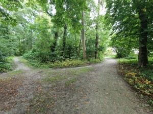 
                            <b>Knooppunt in het Sterrebos</b><br>
                                                        <b>ISO:</b> 100 | <b>Sluitertijd:</b> 1/50 | <b>Diafragma:</b> f/2.2 | <b>Datum:</b> 2024-08-17

                        