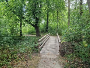 
                            <b>Loopbrug in het Sterrebos</b><br>
                                                        <b>ISO:</b> 200 | <b>Sluitertijd:</b> 1/180 | <b>Diafragma:</b> f/1.8 | <b>Datum:</b> 2024-08-17

                        