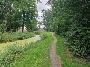 
                            <b>Wandelpad in het Sterrebos</b><br>
                                                        <b>ISO:</b> 50 | <b>Sluitertijd:</b> 1/180 | <b>Diafragma:</b> f/1.8 | <b>Datum:</b> 2024-08-17

                        