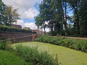 
                            <b>Klein deel van de uit 1836 daterende tunnel ‘Koekoek’ in het Sterrebos, met water en groen.</b><br>
                                                        <b>ISO:</b> 50 | <b>Sluitertijd:</b> 1/469 | <b>Diafragma:</b> f/1.8 | <b>Datum:</b> 2024-08-17

                        
