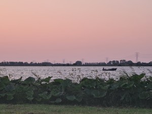 
                            <b>Een bootje vaart over het Schildmeer tijdens de ondergaande zon.</b><br>
                                                        <b>ISO:</b> 50 | <b>Sluitertijd:</b> 1/100 | <b>Diafragma:</b> f/3.5 | <b>Datum:</b> 2023-06-11

                        