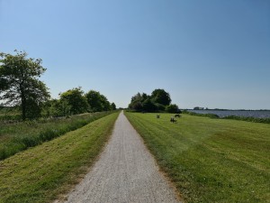
                            <b>Fietspad langs het schildmeer</b><br>
                                                        <b>ISO:</b> 50 | <b>Sluitertijd:</b> 1/2784 | <b>Diafragma:</b> f/1.8 | <b>Datum:</b> 2023-06-03

                        