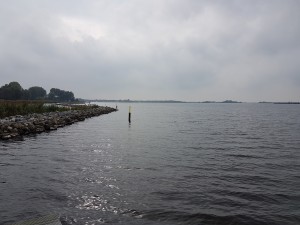 
                            <b>Vanaf de steiger aan de rand van het Schildmeer</b><br>
                                                        <b>ISO:</b> 40 | <b>Sluitertijd:</b> 1/2928 | <b>Diafragma:</b> f/1.7 | <b>Datum:</b> 2017-09-29

                        