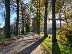 
                            <b>Weg richting kasteel Heeswijk.</b><br>
                                                        <b>ISO:</b> 50 | <b>Sluitertijd:</b> 1/286 | <b>Diafragma:</b> f/1.8 | <b>Datum:</b> 2023-11-17

                        