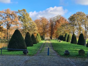 
                            <b>Tuin met pad naar Kasteel Heeswijk</b><br>
                                                        <b>ISO:</b> 50 | <b>Sluitertijd:</b> 1/302 | <b>Diafragma:</b> f/1.8 | <b>Datum:</b> 2023-11-17

                        