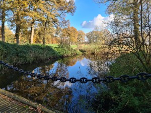 
                            <b>Brug richting Kasteel Kasteel Heeswijk, water en blauwe lucht</b><br>
                                                        <b>ISO:</b> 50 | <b>Sluitertijd:</b> 1/253 | <b>Diafragma:</b> f/1.8 | <b>Datum:</b> 2023-11-17

                        