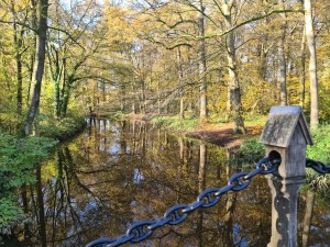 
                            <b>Brug richting Kasteel Kasteel Heeswijk, water en blauwe lucht</b><br>
                                                        <b>ISO:</b> 50 | <b>Sluitertijd:</b> 1/100 | <b>Diafragma:</b> f/1.8 | <b>Datum:</b> 2023-11-17

                        