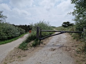 
                            <b>Bij het fietspad naast het Bunkermuseum, op een bewolkte dag</b><br>
                                                        <b>ISO:</b> 50 | <b>Sluitertijd:</b> 1/18519 | <b>Diafragma:</b> f/1.8 | <b>Datum:</b> 2024-05-25

                        