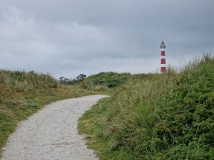
                            <b>Op het Tromppad met de vuurtoren in het zicht, tijdens een bewolkte dag</b><br>
                                                        <b>ISO:</b> 50 | <b>Sluitertijd:</b> 1/3663 | <b>Diafragma:</b> f/2.4 | <b>Datum:</b> 2024-05-25

                        