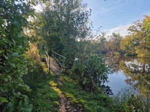 
                            <b>Een bruggetje tussen de wateren van de baggerputten.</b><br>
                                                        <b>ISO:</b> 50 | <b>Sluitertijd:</b> 1/292 | <b>Diafragma:</b> f/1.8 | <b>Datum:</b> 2024-10-06

                        