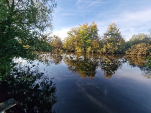 
                            <b>Water, bomen en een blauwe lucht.</b><br>
                                                        <b>ISO:</b> 50 | <b>Sluitertijd:</b> 1/549 | <b>Diafragma:</b> f/2.2 | <b>Datum:</b> 2024-10-06

                        