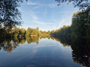 
                            <b>Water, bomen en een blauwe lucht.</b><br>
                                                        <b>ISO:</b> 50 | <b>Sluitertijd:</b> 1/5208 | <b>Diafragma:</b> f/1.8 | <b>Datum:</b> 2024-10-06

                        