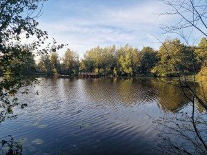 
                            <b>Water, bomen en een blauwe lucht.</b><br>
                                                        <b>ISO:</b> 50 | <b>Sluitertijd:</b> 1/3831 | <b>Diafragma:</b> f/1.8 | <b>Datum:</b> 2024-10-06

                        