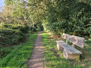 
                            <b>Picknickbankje in het natuurgebied, met een halfverhard pad en omringd door bomen</b><br>
                                                        <b>ISO:</b> 50 | <b>Sluitertijd:</b> 1/180 | <b>Diafragma:</b> f/1.8 | <b>Datum:</b> 2024-10-06

                        