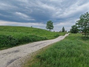 
                            <b>In het wandelgebied langs de Vossenburglaan</b><br>
                                                        <b>ISO:</b> 50 | <b>Sluitertijd:</b> 1/3717 | <b>Diafragma:</b> f/1.8 | <b>Datum:</b> 2024-05-16

                        