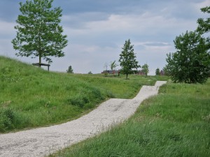 
                            <b>In het wandelgebied langs de Vossenburglaan</b><br>
                                                        <b>ISO:</b> 50 | <b>Sluitertijd:</b> 1/897 | <b>Diafragma:</b> f/2.4 | <b>Datum:</b> 2024-05-16

                        