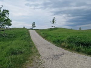 
                            <b>In het wandelgebied langs de Vossenburglaan</b><br>
                                                        <b>ISO:</b> 50 | <b>Sluitertijd:</b> 1/5682 | <b>Diafragma:</b> f/1.8 | <b>Datum:</b> 2024-05-16

                        