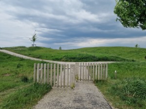 
                            <b>Toegang tot het wandelgebied langs de Vossenburglaan</b><br>
                                                        <b>ISO:</b> 50 | <b>Sluitertijd:</b> 1/4000 | <b>Diafragma:</b> f/1.8 | <b>Datum:</b> 2024-05-16

                        