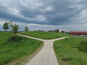 
                            <b>Splitsing in het wandelgebied langs de Vossenburglaan</b><br>
                                                        <b>ISO:</b> 50 | <b>Sluitertijd:</b> 1/4049 | <b>Diafragma:</b> f/1.8 | <b>Datum:</b> 2024-05-16

                        