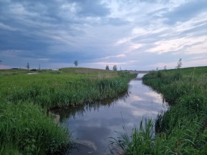 
                            <b>In het wandelgebied langs de Vossenburglaan</b><br>
                                                        <b>ISO:</b> 50 | <b>Sluitertijd:</b> 1/180 | <b>Diafragma:</b> f/1.8 | <b>Datum:</b> 2024-05-13

                        