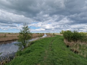 
                            <b>Naast de brug langs het Rijpmakanaal tijdens een blauw bewolkte dag</b><br>
                                                        <b>ISO:</b> 50 | <b>Sluitertijd:</b> 1/11494 | <b>Diafragma:</b> f/1.8 | <b>Datum:</b> 2024-04-26

                        