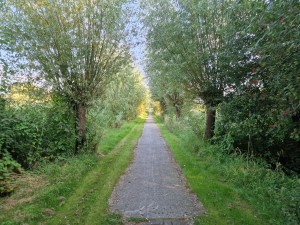
                            <b>Op het fietspad ter hoogte van de Rijpmaweg met een blauwe lucht</b><br>
                                                        <b>ISO:</b> 80 | <b>Sluitertijd:</b> 1/180 | <b>Diafragma:</b> f/1.8 | <b>Datum:</b> 2024-08-05

                        