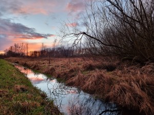
                            <b>Smal beekje reflecteert kleurrijke avondlucht tussen gras en bomen.</b><br>
                                                        <b>ISO:</b> 64 | <b>Sluitertijd:</b> 1/100 | <b>Diafragma:</b> f/1.8 | <b>Datum:</b> 2024-02-12

                        