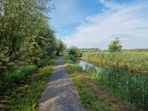 
                            <b>Op het fietspad ter hoogte van de Rijpmaweg met een blauwe lucht</b><br>
                                                        <b>ISO:</b> 50 | <b>Sluitertijd:</b> 1/6410 | <b>Diafragma:</b> f/1.8 | <b>Datum:</b> 2024-07-21

                        