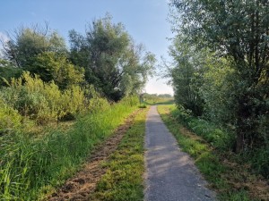 
                            <b>Op het fietspad ter hoogte van de Rijpmaweg met een blauwe lucht</b><br>
                                                        <b>ISO:</b> 50 | <b>Sluitertijd:</b> 1/790 | <b>Diafragma:</b> f/1.8 | <b>Datum:</b> 2024-07-21

                        