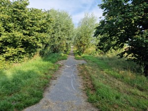 
                            <b>Op het fietspad ter hoogte van de Rijpmaweg met een blauwe lucht</b><br>
                                                        <b>ISO:</b> 50 | <b>Sluitertijd:</b> 1/452 | <b>Diafragma:</b> f/1.8 | <b>Datum:</b> 2024-07-21

                        