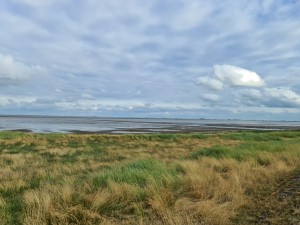 
                            <b>Vanaf de dijk kijkend over de Dollard, de Waddenzee</b><br>
                                                        <b>ISO:</b> 50 | <b>Sluitertijd:</b> 1/724 | <b>Diafragma:</b> f/1.8 | <b>Datum:</b> 2023-07-01

                        