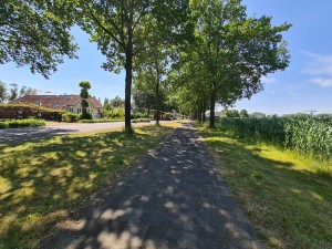 
                            <b>Fietspad Rengerslaan onder een blauwe lucht</b><br>
                                                        <b>ISO:</b> 64 | <b>Sluitertijd:</b> 1/1024 | <b>Diafragma:</b> f/2.2 | <b>Datum:</b> 2023-06-13

                        