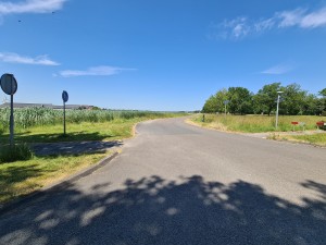 
                            <b>kruispunt Rengerslaan onder een blauwe lucht</b><br>
                                                        <b>ISO:</b> 64 | <b>Sluitertijd:</b> 1/1572 | <b>Diafragma:</b> f/2.2 | <b>Datum:</b> 2023-06-13

                        