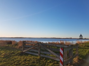 
                            <b>Natuurgebied 't Roegwold tijdens een blauwe lucht</b><br>
                                                        <b>ISO:</b> 40 | <b>Sluitertijd:</b> 1/1344 | <b>Diafragma:</b> f/1.7 | <b>Datum:</b> 2018-01-07

                        