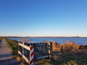 
                            <b>Natuurgebied 't Roegwold tijdens een blauwe lucht</b><br>
                                                        <b>ISO:</b> 40 | <b>Sluitertijd:</b> 1/956 | <b>Diafragma:</b> f/1.7 | <b>Datum:</b> 2018-01-07

                        