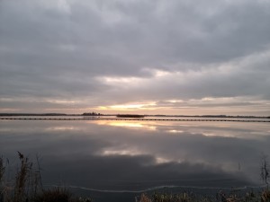 
                            <b>Op het fietspad Dannermeerweg, kijkend over het water naar het knuppelpad.</b><br>
                                                        <b>ISO:</b> 400 | <b>Sluitertijd:</b> 1/50 | <b>Diafragma:</b> f/1.8 | <b>Datum:</b> 2023-12-14

                        