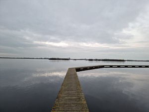 
                            <b>Op het knuppelpad, onder een bewolkte lucht bij natuurgebied 't Roegwold</b><br>
                                                        <b>ISO:</b> 125 | <b>Sluitertijd:</b> 1/50 | <b>Diafragma:</b> f/1.8 | <b>Datum:</b> 2023-12-14

                        