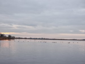 
                            <b>Op het knuppelpad, onder een bewolkte lucht</b><br>
                                                        <b>ISO:</b> 200 | <b>Sluitertijd:</b> 1/50 | <b>Diafragma:</b> f/2.4 | <b>Datum:</b> 2023-12-14

                        