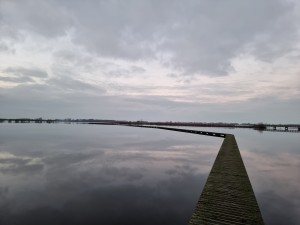
                            <b>Op het knuppelpad, onder een bewolkte lucht</b><br>
                                                        <b>ISO:</b> 250 | <b>Sluitertijd:</b> 1/100 | <b>Diafragma:</b> f/1.8 | <b>Datum:</b> 2023-12-14

                        